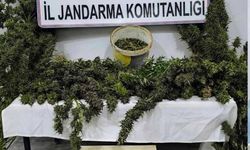 Mardin’de uyuşturucu operasyonunda 3 tutuklama