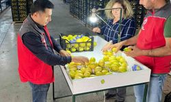 Ortaca’da ihracata giden ürünlere onay