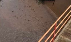 Osmaniye’de baraj kapakları açıldı, yüzlerce balık telef oldu