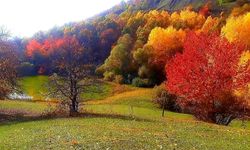 Posof’ta sonbaharla gelen güzellikler