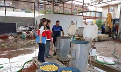 Sağlıksız şartlarda patates dilimleyen işletme mühürlendi