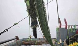 Samsun’da 1 milyon 843 bin 550 kilo hamsi denetlendi