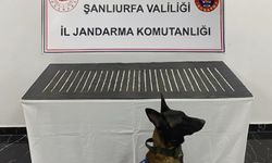 Şanlıurfa’da uyuşturucu operasyonu: 4 gözaltı