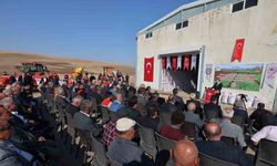 Siirt’te 203 ton kırmızı mercimek çiftçilere dağıtıldı