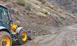 Siirt’te sağanak yağış heyelana neden oldu