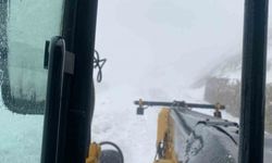 Şırnak beyaza büründü, Habur Çayı debisi yükseldi