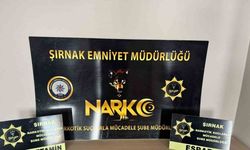 Şırnak’ta uyuşturucu operasyonu: 9 gözaltı