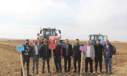 Sivas’ta 5 farklı ekmeklik buğday, pilot bölgede toprakla buluşturuldu