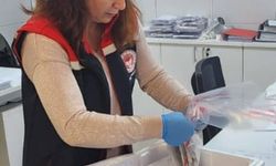 Söke’den ihraç edilecek balıklara analiz