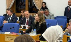 Tamer Osmanağaoğlu’ndan bütçe görüşmelerinde Aliağa vurgusu