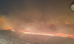 Tandırdan sıçrayan kıvılcımlar araziyi küle çevirdi