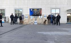 Tayland’dan Türkiye’ye 1 buçuk tonluk skunk sevkiyatı narkotik polisine takıldı