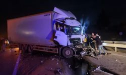 Tır dorsesine çarpan kamyonun sürücüsü yaralandı