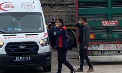 Tırın altında kalan yaşlı adam hayatını kaybetti