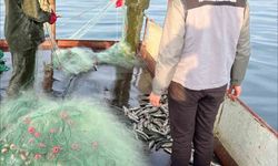 Van Gölü’nde balıkçılık denetimi yapıldı