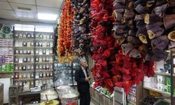 Vanlılar bağışıklıklarını bitkisel çaylarla güçlendiriyor