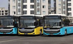 Zerzevan Kalesine toplu taşıma güzergahı