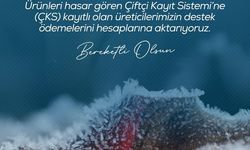 Zirai don nedeniyle ürünleri hasar gören çiftçilere 798 milyon lira destek ödemesi yapıldı