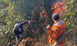 Artvin Hopa’da 5 hektarlık alanı küle çeviren yangınla mücadele sürüyor