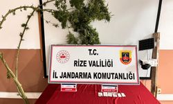 Rize'de operasyon: 3 kişi yakalandı