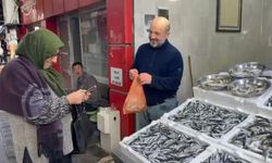 Rize’de hamsinin fiyatı sevenlerinin yüzünü güldürüyor