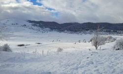 Abant ve çevresindeki yaylalar beyaza büründü