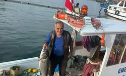 Akçakoca’da balıkçı ağına 10 kiloluk levrek takıldı