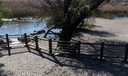 Akyaka Kadın Azmağında doğal dokuyu koruyan çalışma tamamlandı