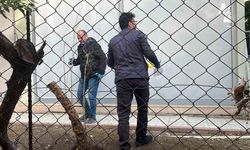 Alanya’da alacak verecek meselesi kanlı bitti, 1 yaralı