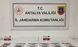 Alanya’da jandarmadan uyuşturucu operasyonu