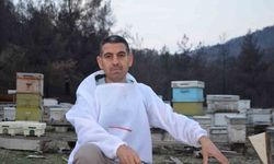 Ana arı üretiminde büyük başarı: Bir arı kovanıyla hobi olarak başladı, şimdi Türkiye’nin her yerine koloni gönderiyor