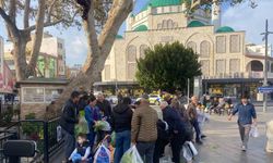 Antalyalı çiftçi ürünlerin çöpe dökülmesine tepki olarak 200 marulu ücretsiz dağıttı