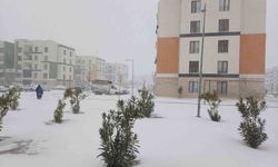 Araban Ovası'na kar yağışı çiftçilerin yüzlerini güldürdü