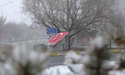 Ardahan eksi 15 dereceyle buz kesti