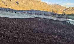 Arpalar kar yağmadan toprakla buluşuyor