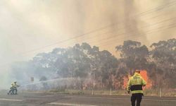 Avustralya’da devam eden orman yangınlarında itfaiye görevlisi öldü
