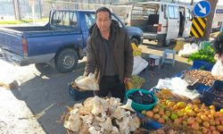 Aydın’daki dev mantarlar pazarda ilgi odağı oldu