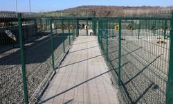 BARÜ'de kampüsteki hayvanlar için yaşam merkezi oluşturuldu