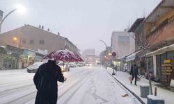 Başkale’de kar yağışı etkili oldu