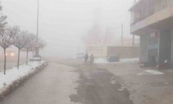 Başkale’de sis etkili oldu