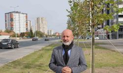 Başkan Çolakbayrakdar: "Yeşil alanda dünya standartlarını üçe katlıyoruz"