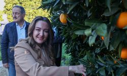 Başkan Vekili Özdemir: "Finike’nin ihtiyaçları doğrultusunda çalışmalarımızı yapıyoruz"