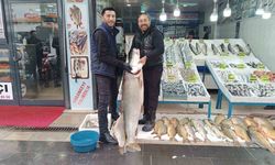 Batman’da dev turna balığı ilgi odağı oldu