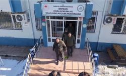 Batman'da yaban hayvanları için doğaya yem bırakıldı