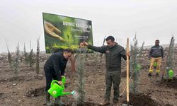 Baybatur’dan yanan orman alanlarına bin fidan