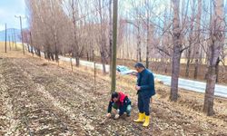 Bayburt’ta salep üretim alanları yerinde incelendi