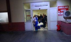 Beyin ölümü gerçekleşen hastanın karaciğer ve iki böbreği bağışlandı