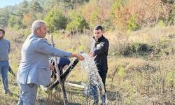 Bilecik'te güneş enerjisiyle sulama sistemi kuruldu