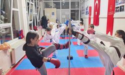 Bilecik’te karate spor okullarında yoğun tempo