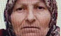 Bilecik’te kaybolan yaşlı kadını jandarma buldu